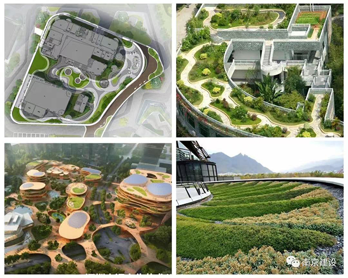 （南京）农业科技创新港项目11.jpg