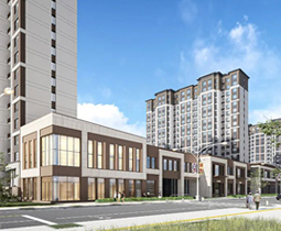 北京大兴国际机场片区起步区一期安置房项目